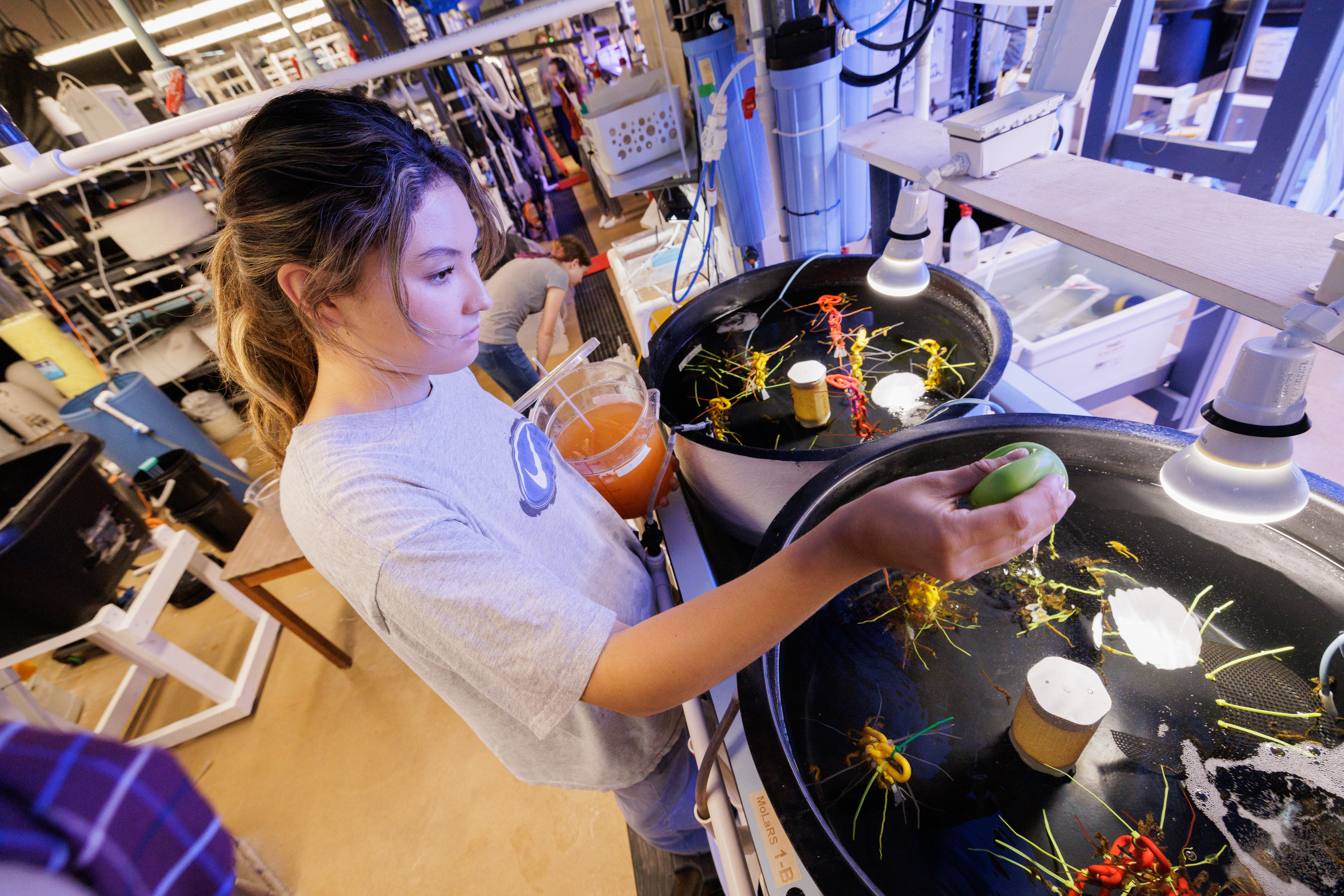 A student works in the wet lab